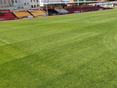 Przygotowanie murawy na okres jesienno-zimowy Przygotowanie murawy na okres jesienno-zimowy